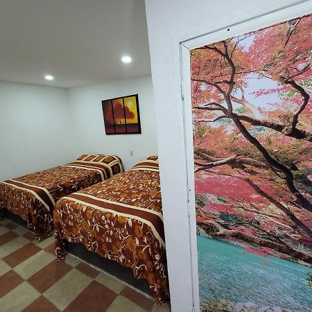 Hotel Vicalis San Juan Teotihuacán Dış mekan fotoğraf