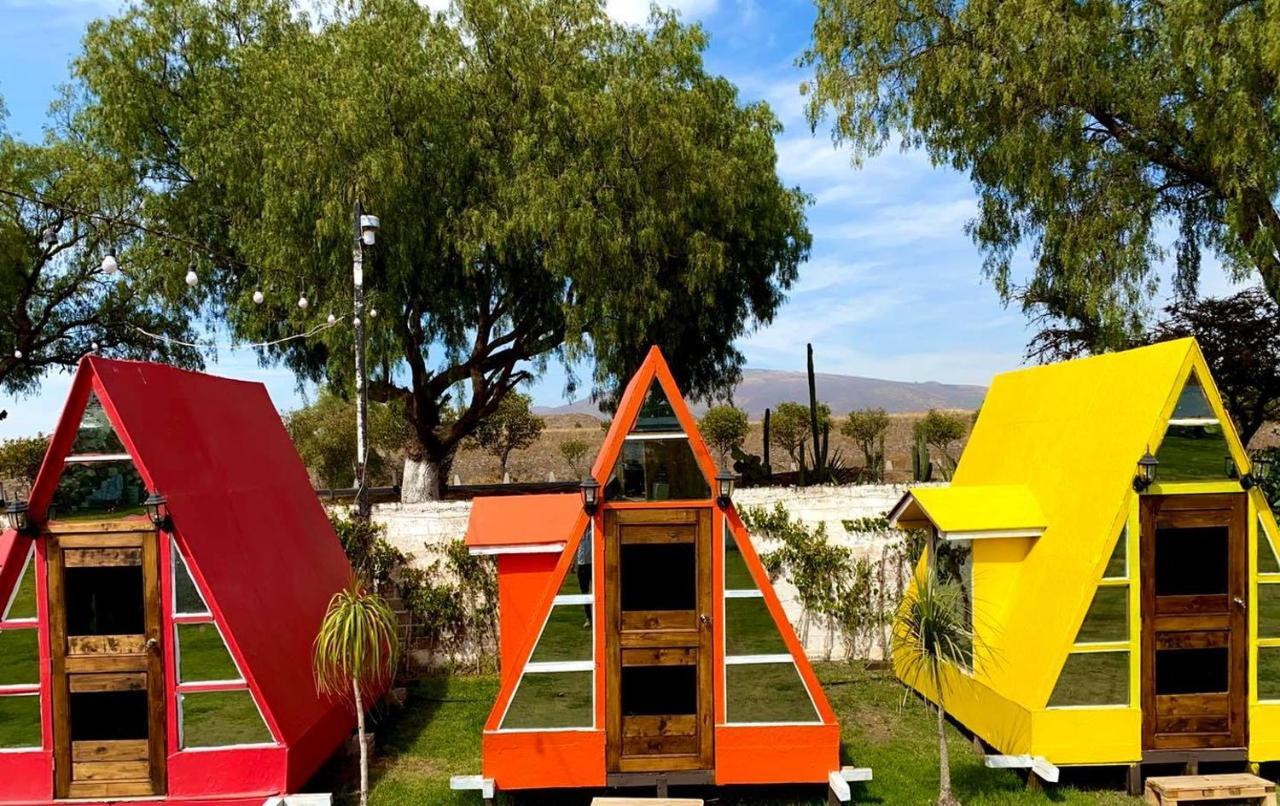 Hotel Vicalis San Juan Teotihuacán Dış mekan fotoğraf