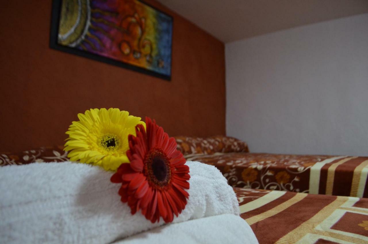 Hotel Vicalis San Juan Teotihuacán Dış mekan fotoğraf